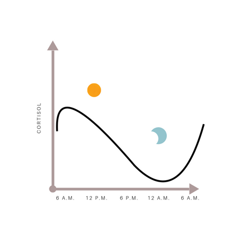 cortisol levels and stress response during the day. Weighted blankets can improve stress and cortisol levels