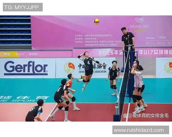 排球力量排行榜揭晓上海排球队荣获第二名展现强大实力 排球力量排行榜揭晓上海排球队荣获第二名展现强大实力