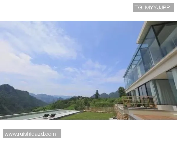 足球明星大乱斗视频全景回顾精彩瞬间与经典对决一网打尽