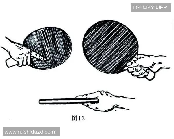 乒乓球新手攻略：技术入门指南