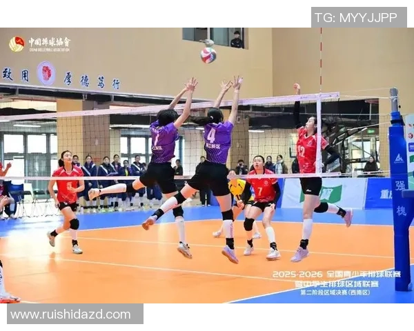 聚焦排球：重庆排球队的实力话题